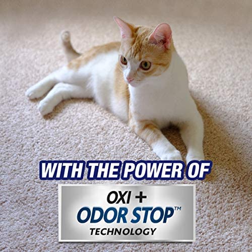 Resolve Pet Carpet Spot & Stain Remover Spray, 22oz iimonoliving